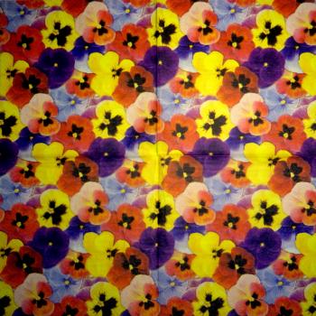 STM-013 Pansy - 3-ply